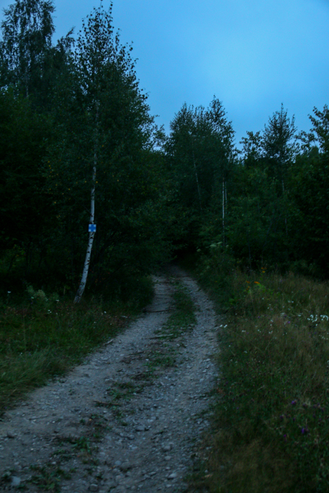 /harghita/img_8205.jpg