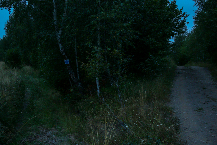/harghita/img_8206.jpg
