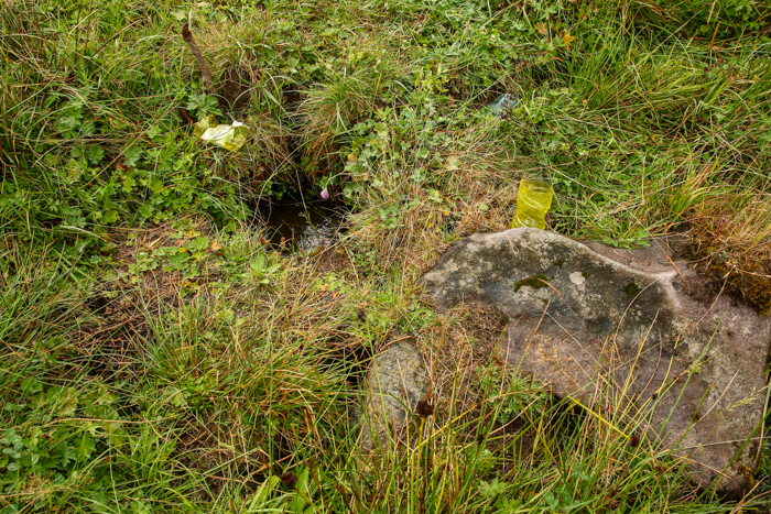 /harghita/img_8217.jpg