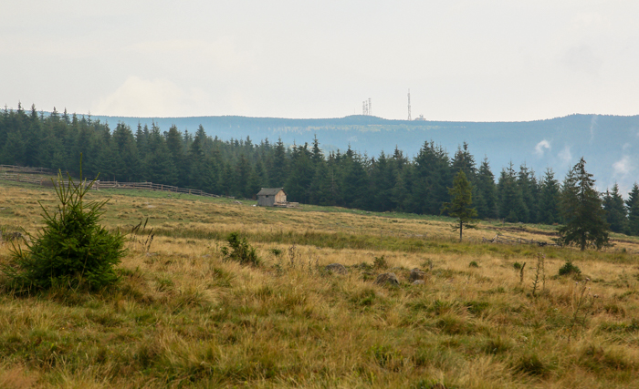 /harghita/img_8224.jpg