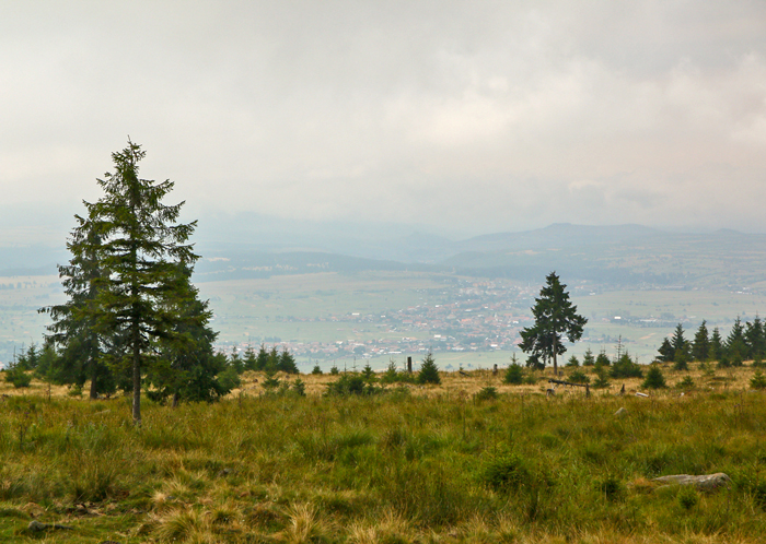 /harghita/img_8226.jpg