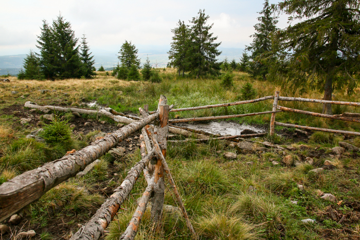 /harghita/img_8227.jpg