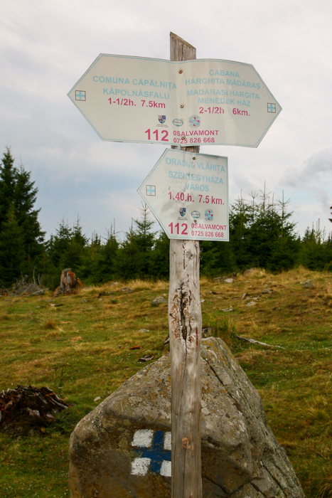 /harghita/img_8233.jpg