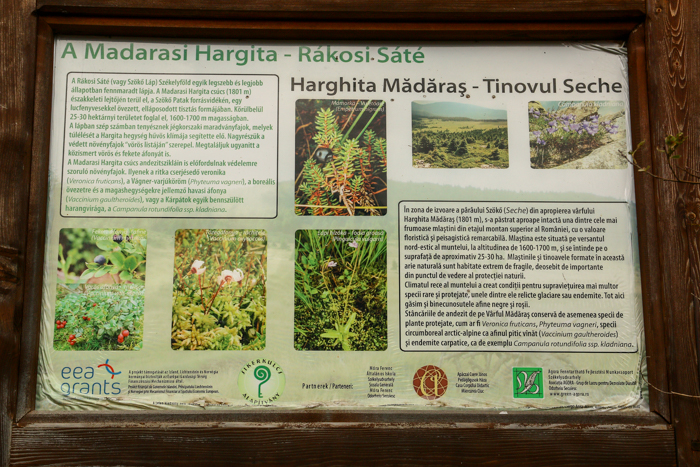 /harghita/img_8261.jpg