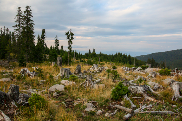 /harghita/img_8337.jpg