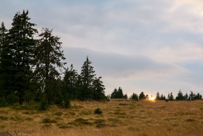 /harghita/img_8341.jpg