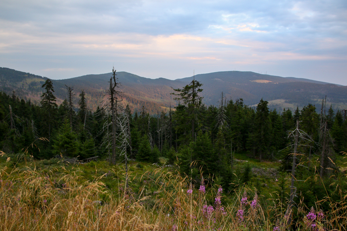 /harghita/img_8346.jpg