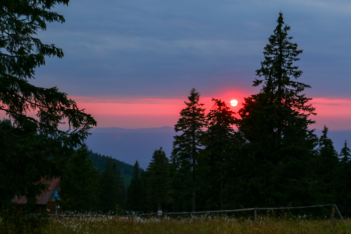 /harghita/img_8360.jpg