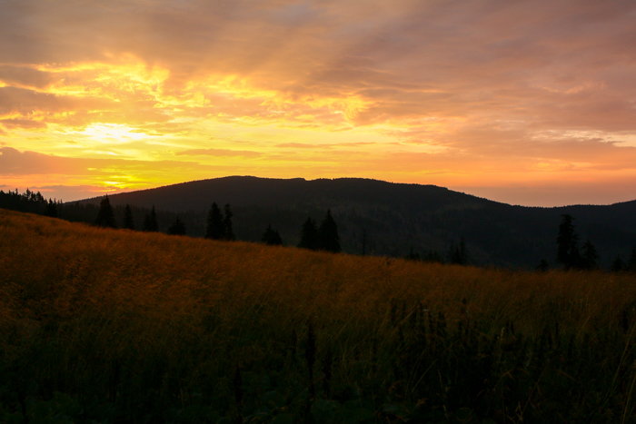 /harghita/img_8380.jpg