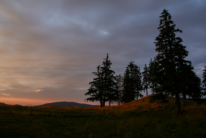 /harghita/img_8394.jpg
