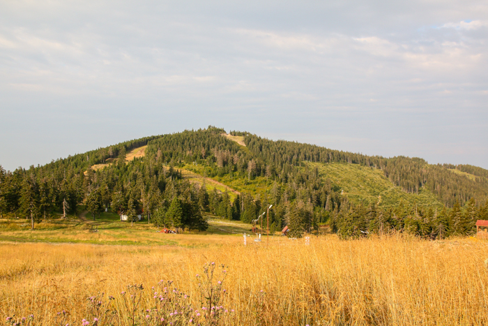 /harghita/img_8395.jpg