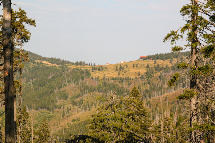 /harghita/img_8401.jpg