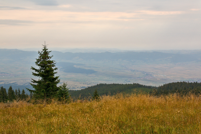 /harghita/img_8407.jpg