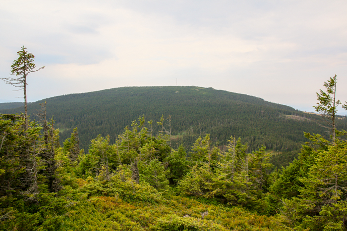 /harghita/img_8412.jpg