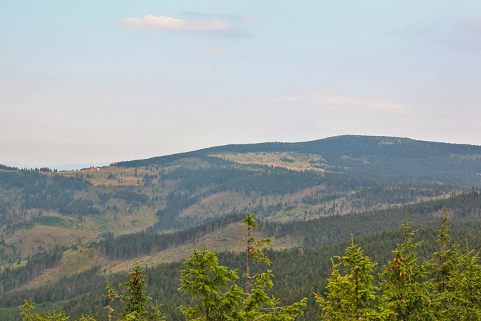 /harghita/img_8416.jpg