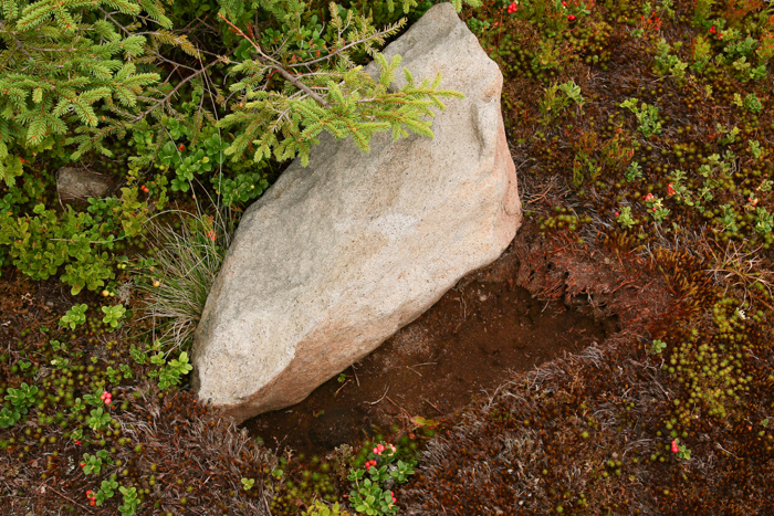 /harghita/img_8417.jpg