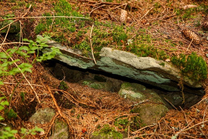 /harghita/img_8425.jpg