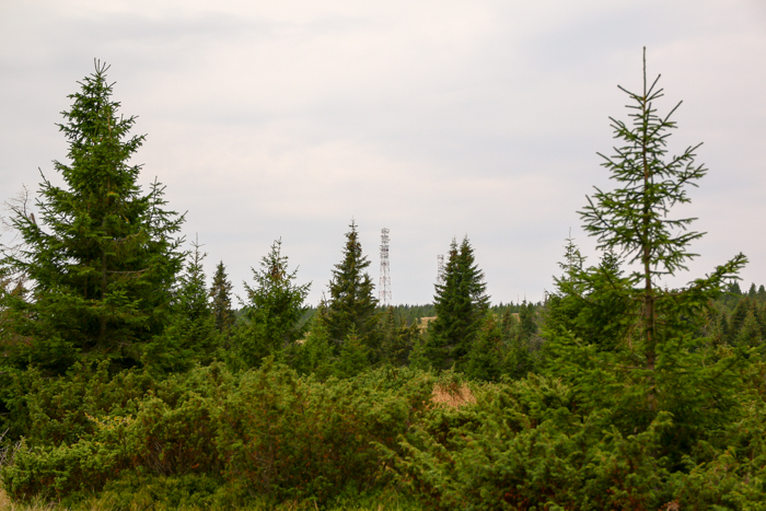 /harghita/img_8427.jpg