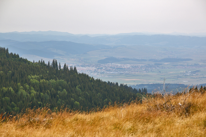 /harghita/img_8444.jpg