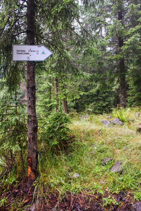 /hoinari_2/img_3684.jpg
