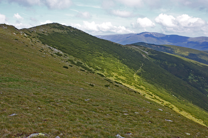 /lotrului/img_1629.jpg