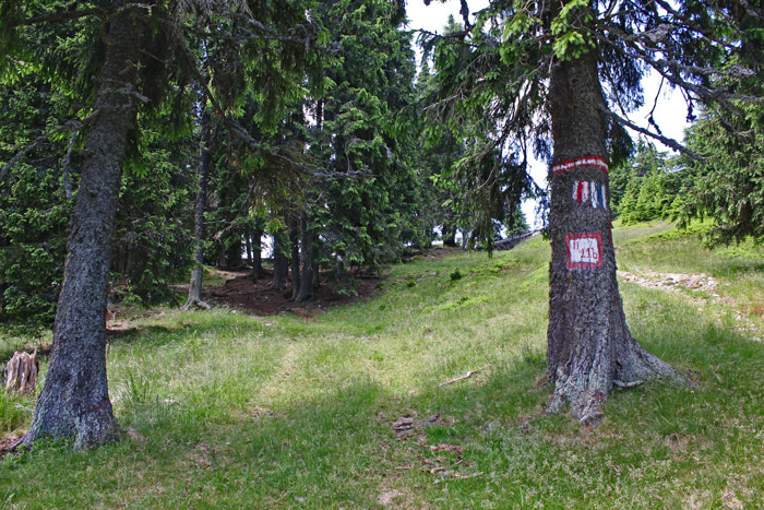 /lotrului/img_1650.jpg