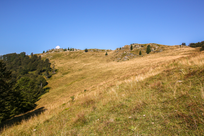 /retezat/img_2832.jpg