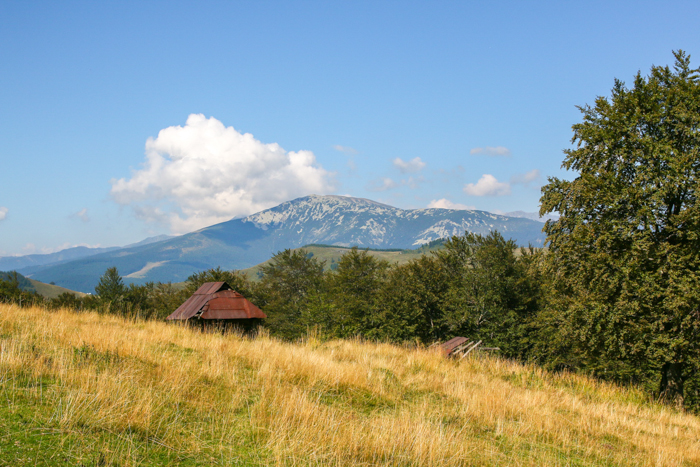 /retezat/img_2835.jpg