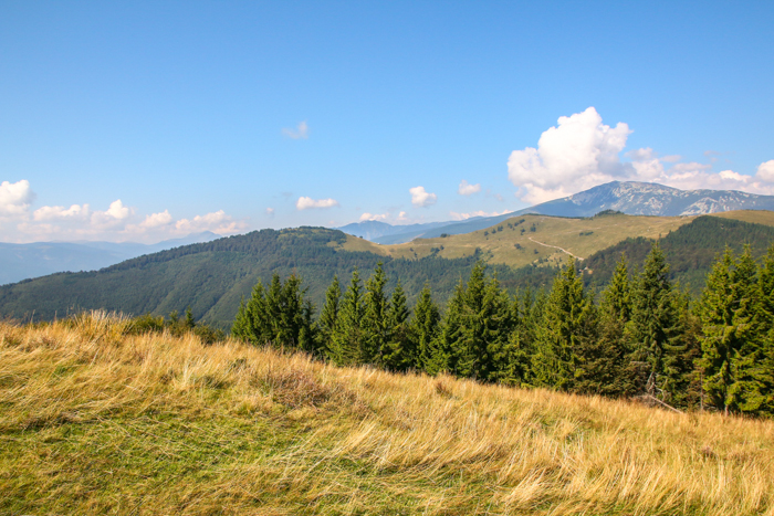 /retezat/img_2838-2.jpg