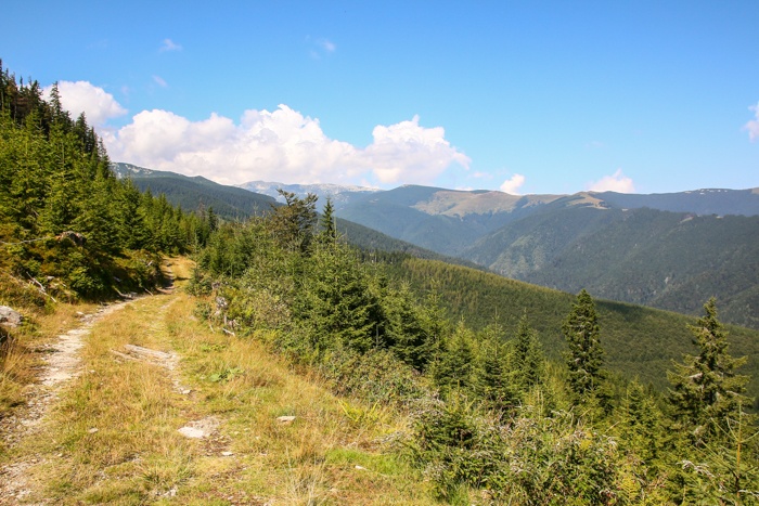 /retezat/img_2841.jpg