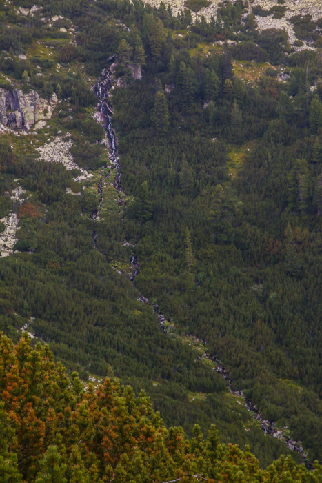 /retezat/img_2886.jpg