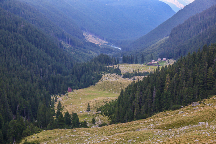 /retezat/img_2887.jpg