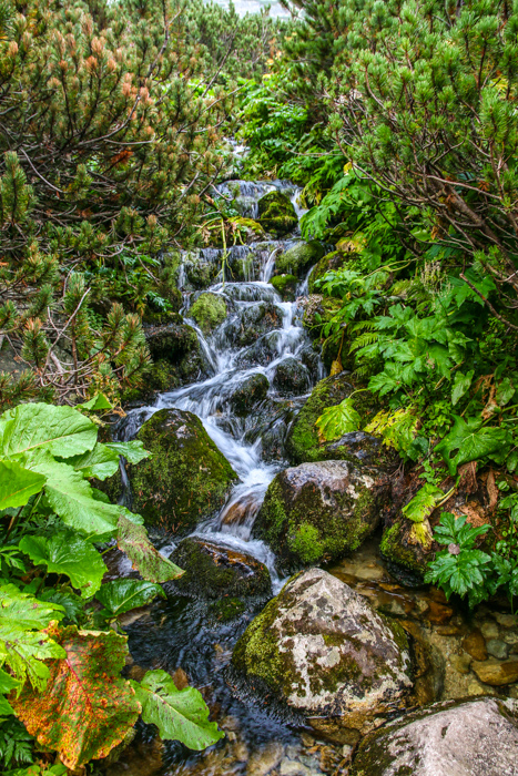 /retezat/img_3066.jpg