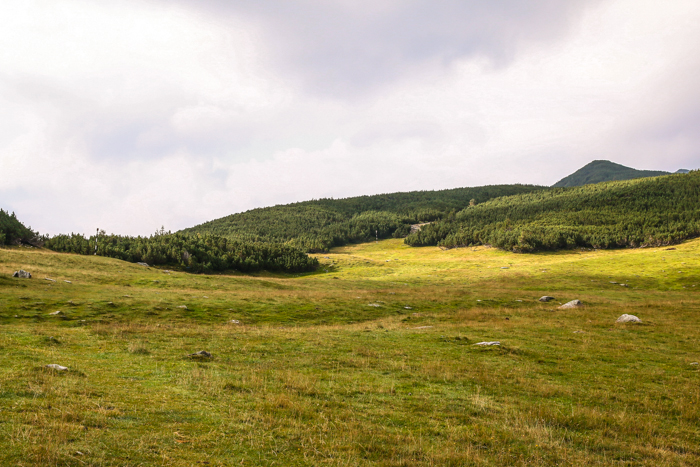 /retezat/img_3073.jpg