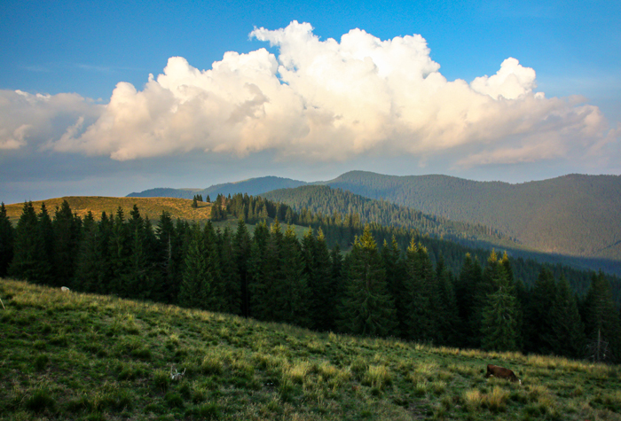 /suhard/img_2190.jpg