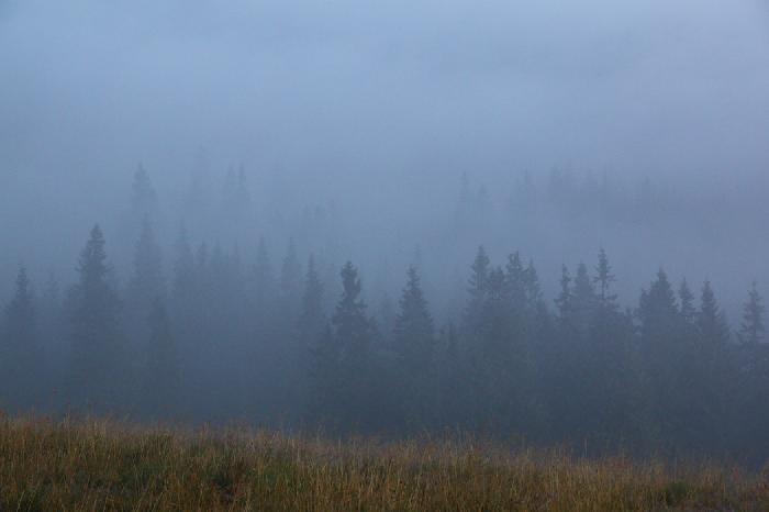 /suhard/img_2224.jpg