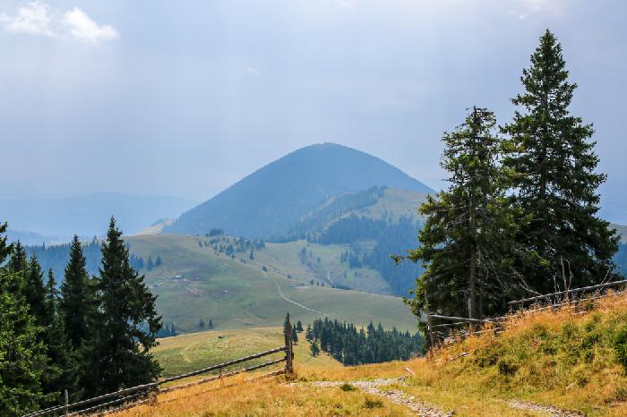 /suhard/img_2240.jpg
