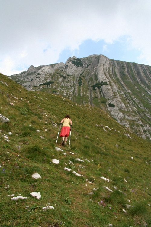 Carpati.org