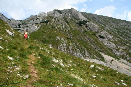 Carpati.org