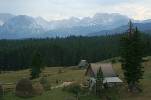 Carpati.org
