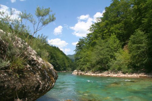 Carpati.org
