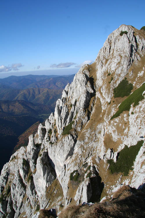 Carpati.org