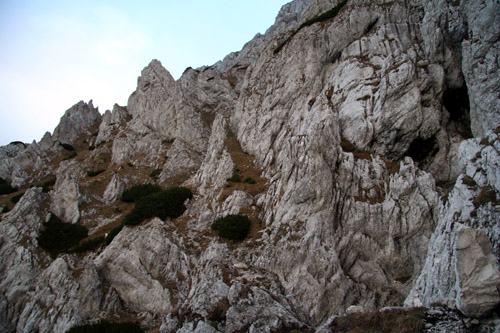 Carpati.org