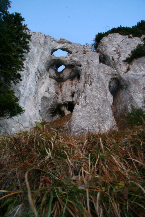 Carpati.org