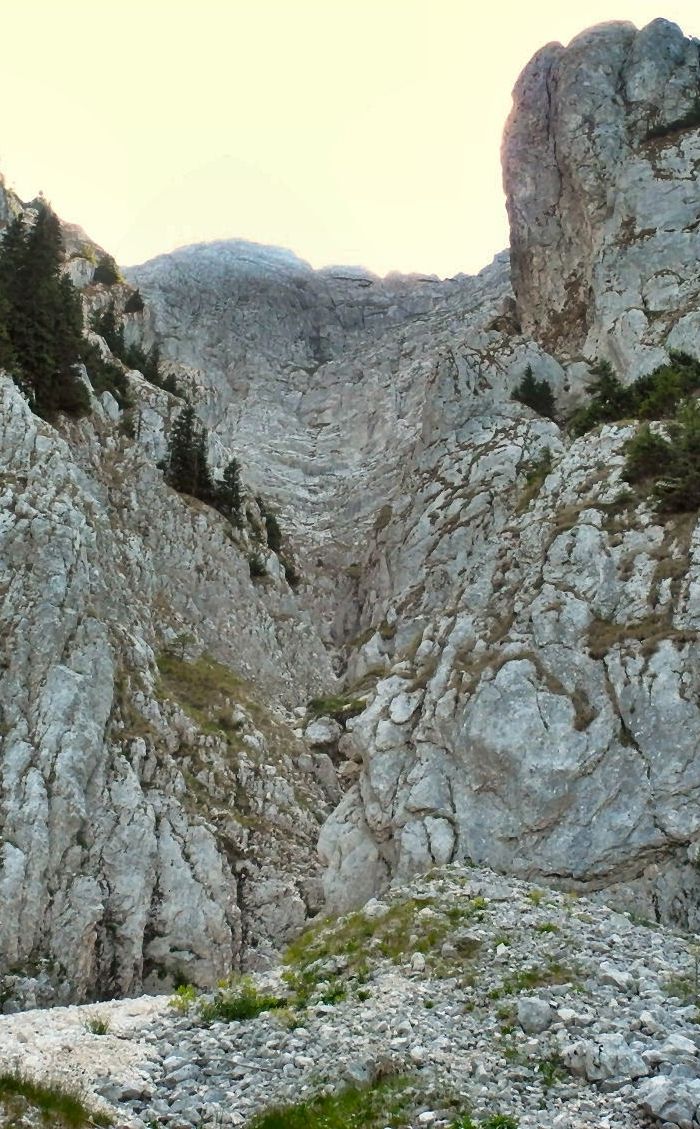 /Padina/05.jpg