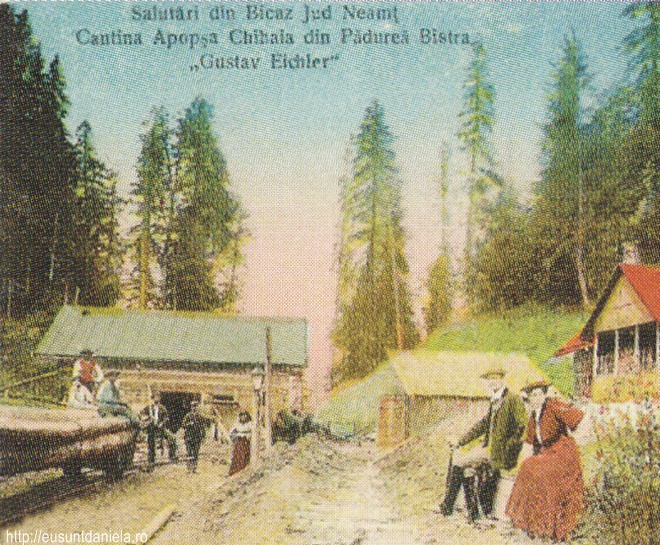 /Excursia/cantina_de_pe_bistra.jpg