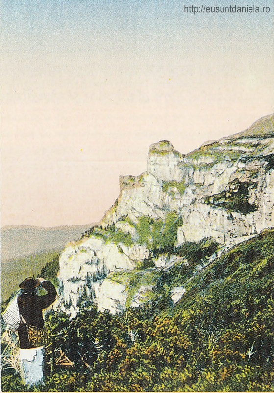 /Excursia/cetatea_ceahlaului.jpg