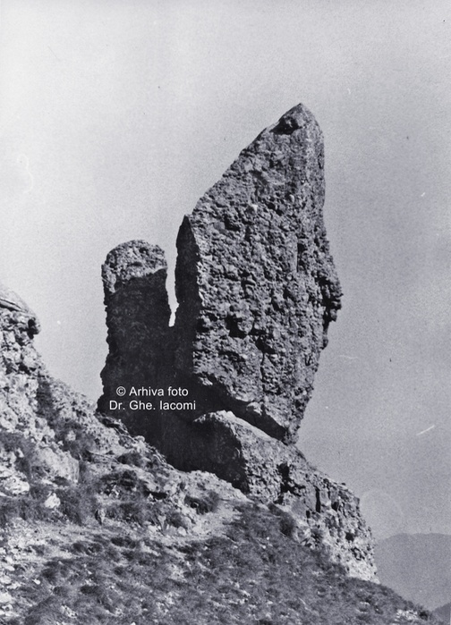 /Toponimie/cusma_dorobantului-002.jpg