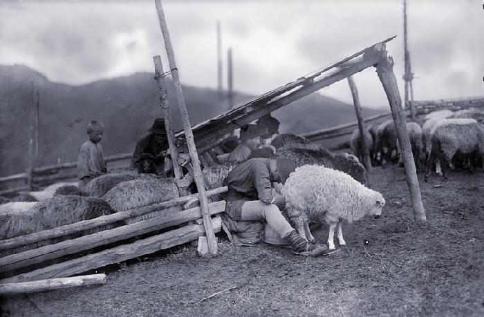 /Toponimie/mulsul_oilor_-_a._chevalier_1930.jpg