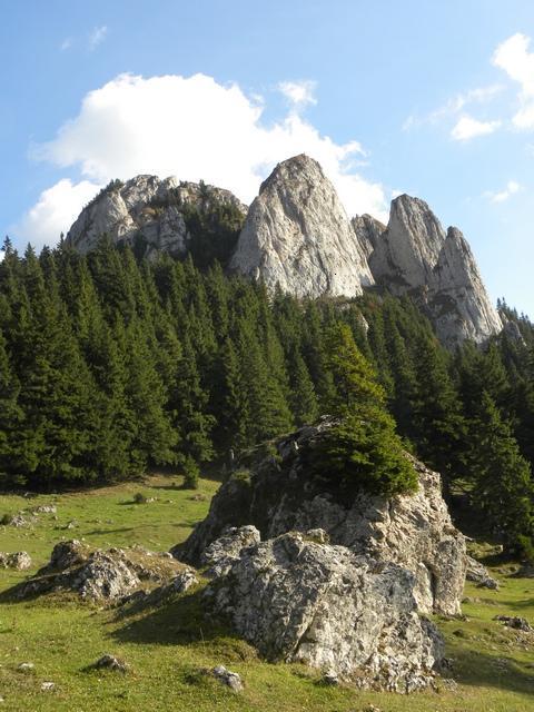 Carpati.org
